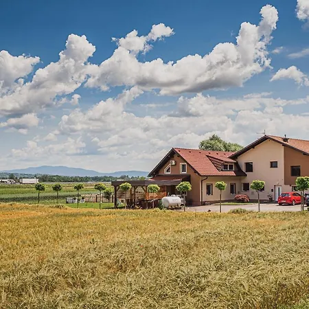 Lejlighed Lux Living Budic Near Terme Catez Brežice