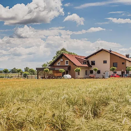 Apartamento Lux Living Budic Near Terme Catez